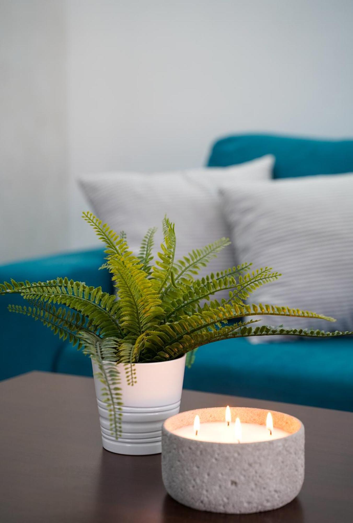 Gardenlux Vrdnik Apartment Luaran gambar