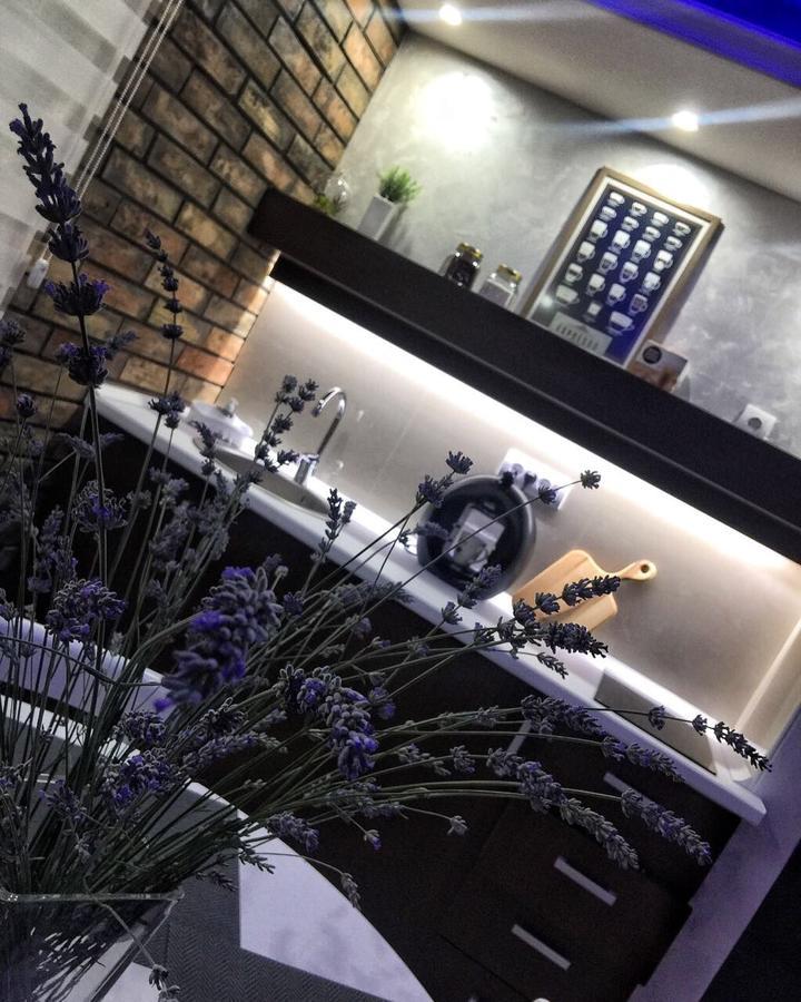 Gardenlux Vrdnik Apartment Luaran gambar