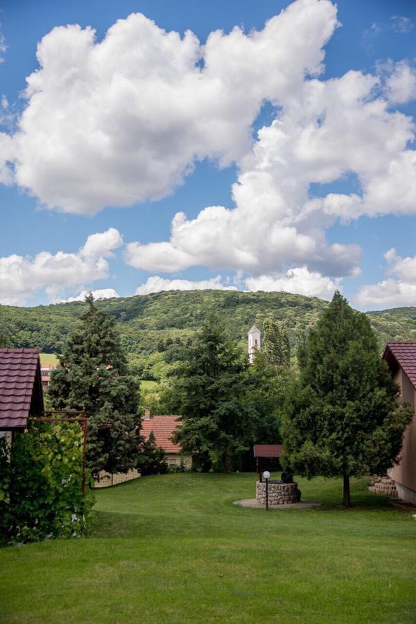 Gardenlux Vrdnik Apartment Luaran gambar